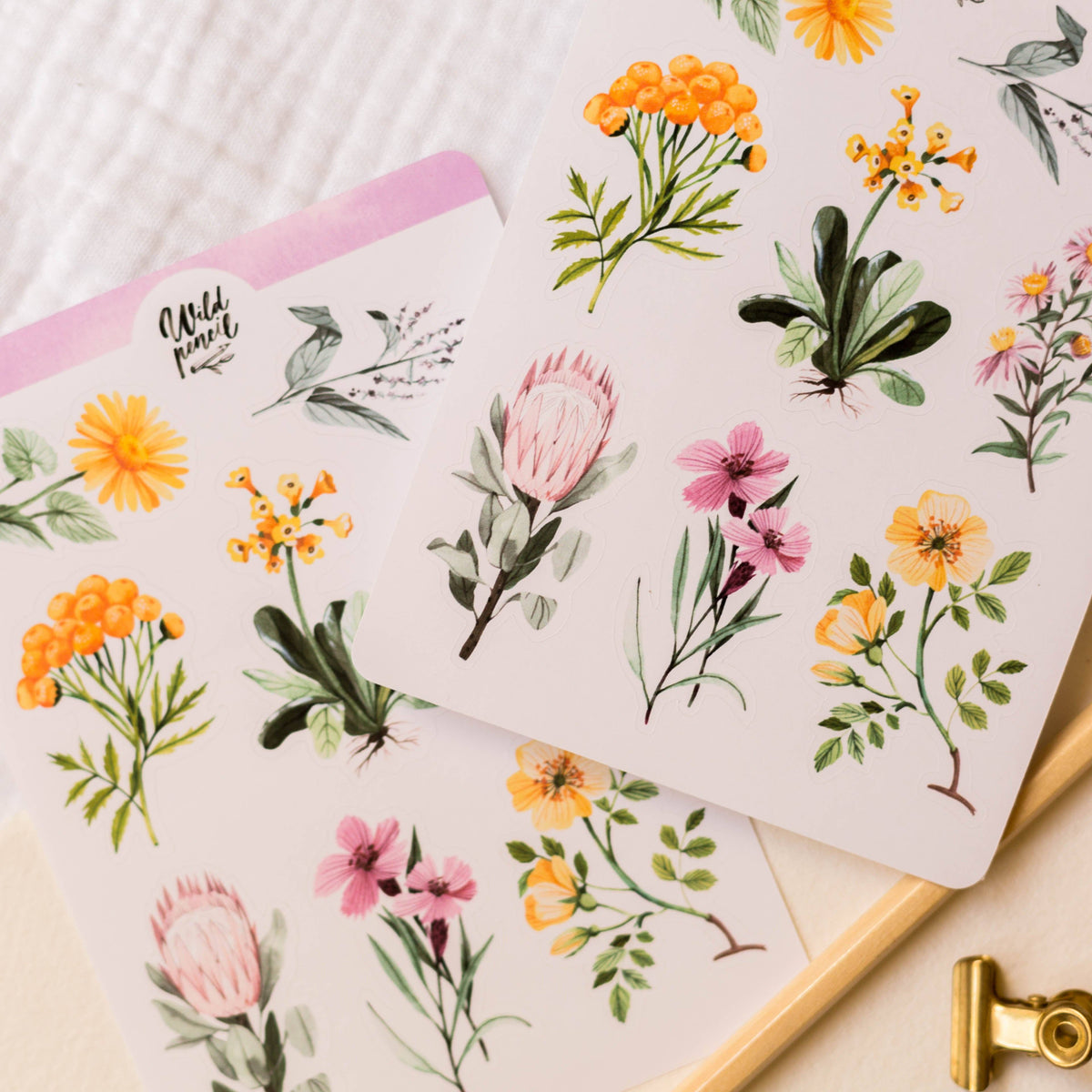 Flowers II Sticker Sheet | Wild Pencil Studio