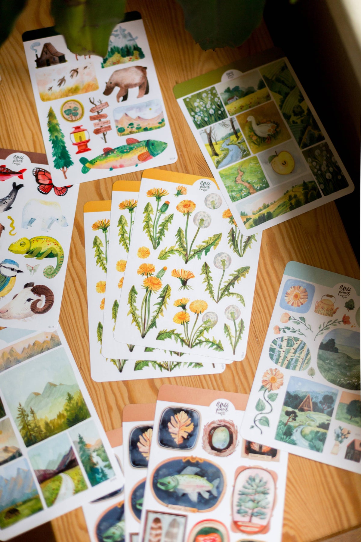 Summer Meadow Sticker Sheet | Wild Pencil Studio