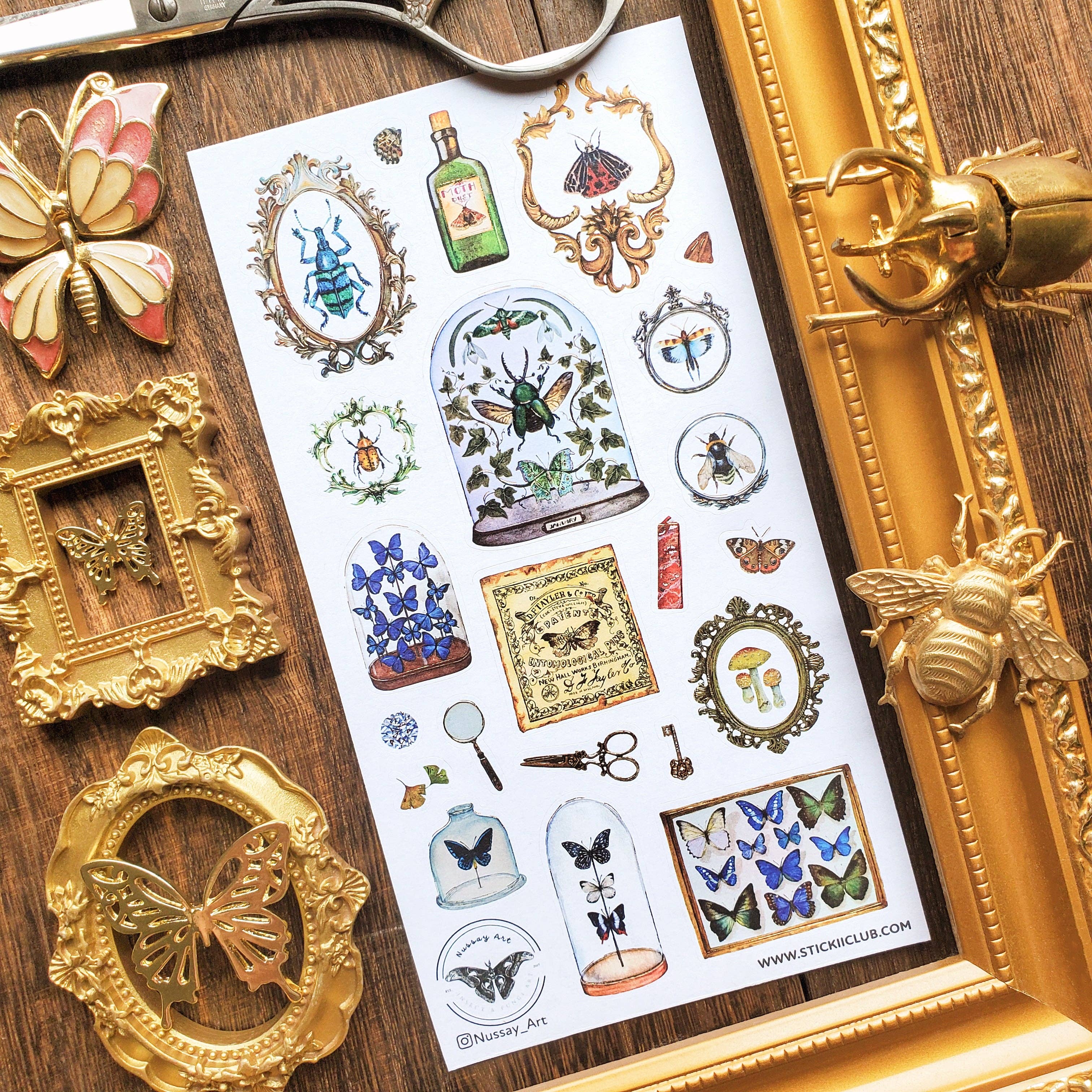 Entomology Collection Sticker Sheet | Stickii