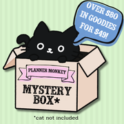 Planner Mystery Box | Planner Monkey Co