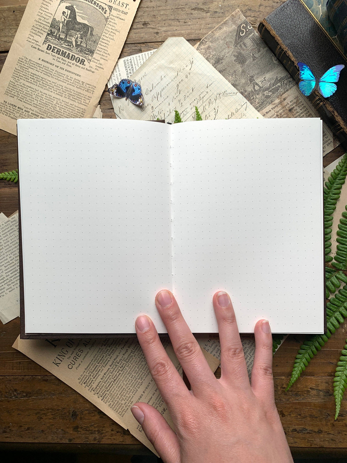 The Wanderer - B6 vegan dot grid notebook, 100gsm ivory pape