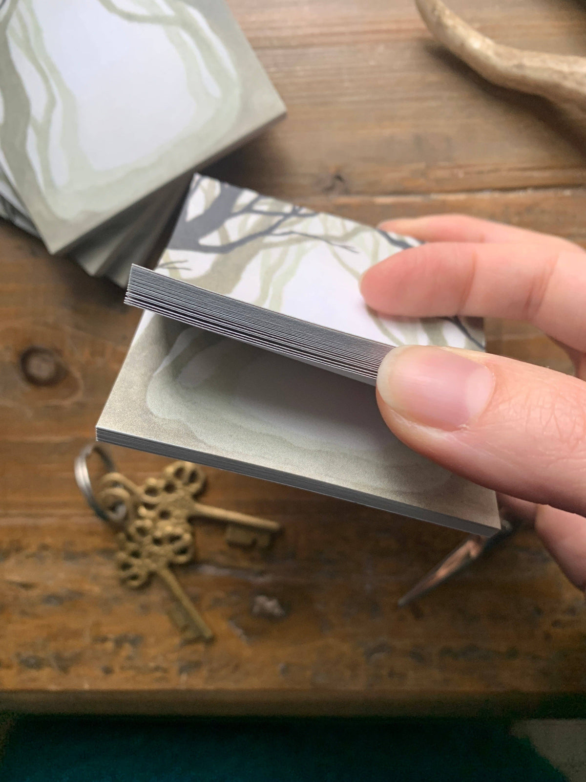 Dark Forest Sticky Notes by The Creeping Moon | Papertail Fox