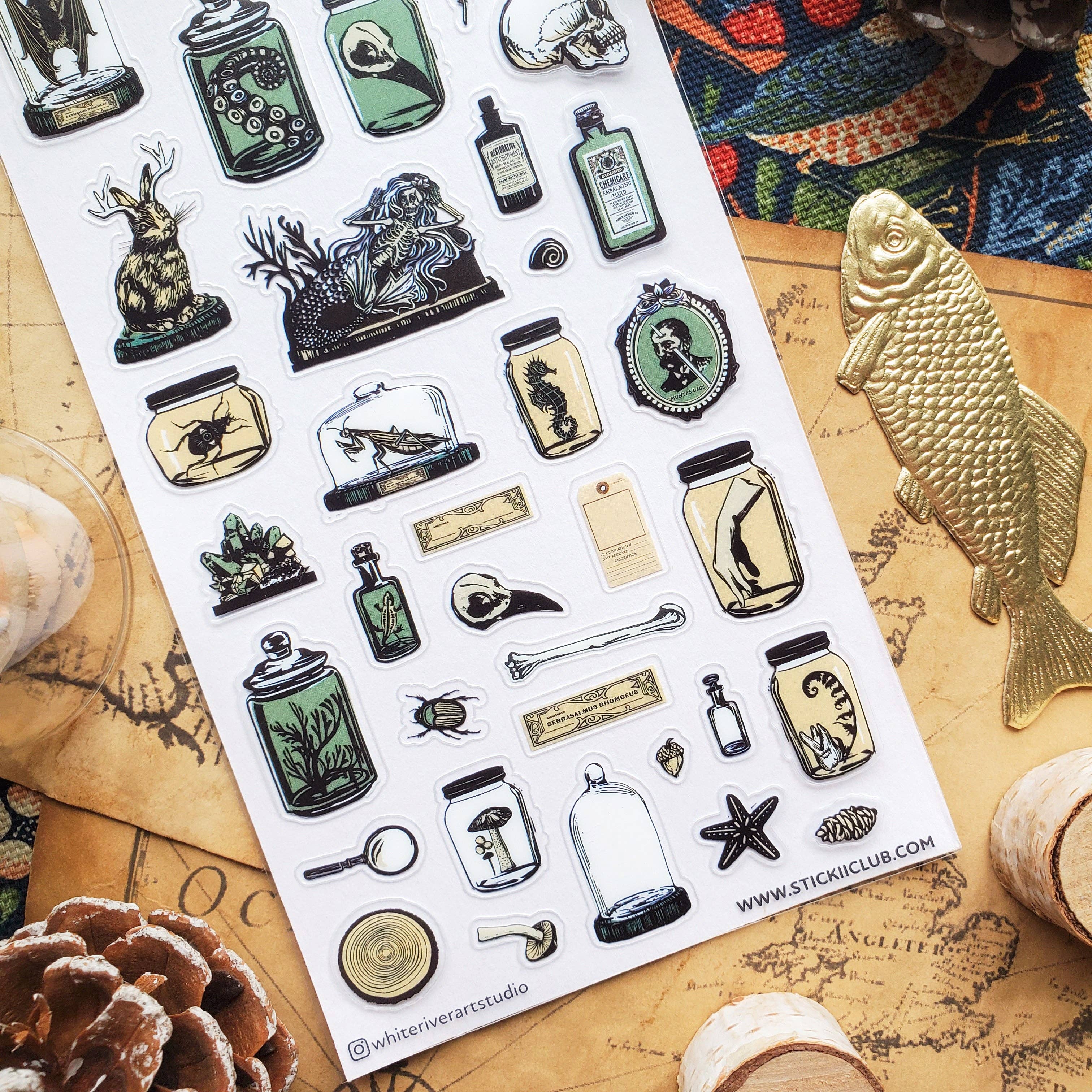 Curious Specimens Sticker Sheet | Stickii