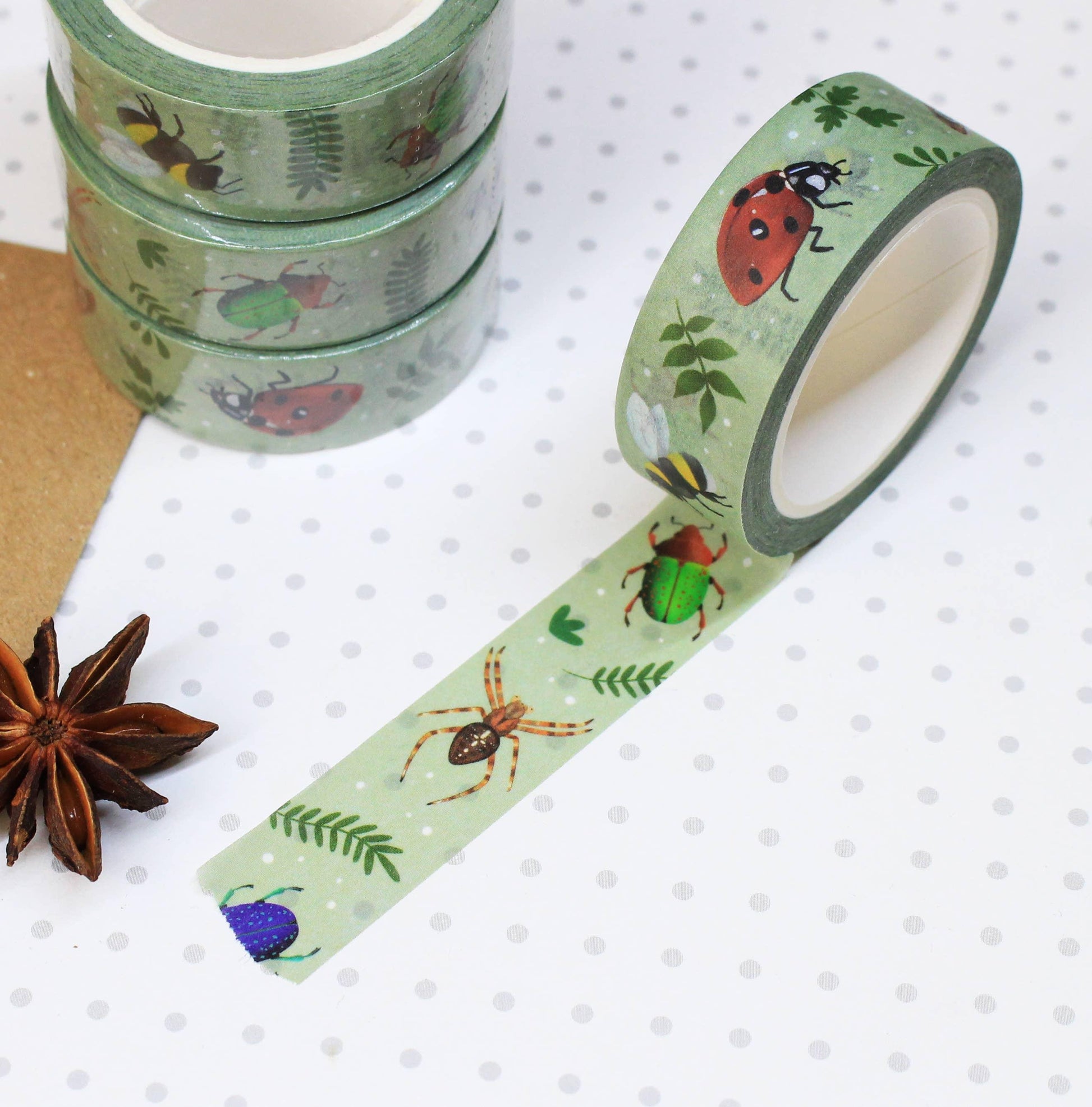 Insects Washi Tape | Ellis Woolley Illustration - Papertail Fox