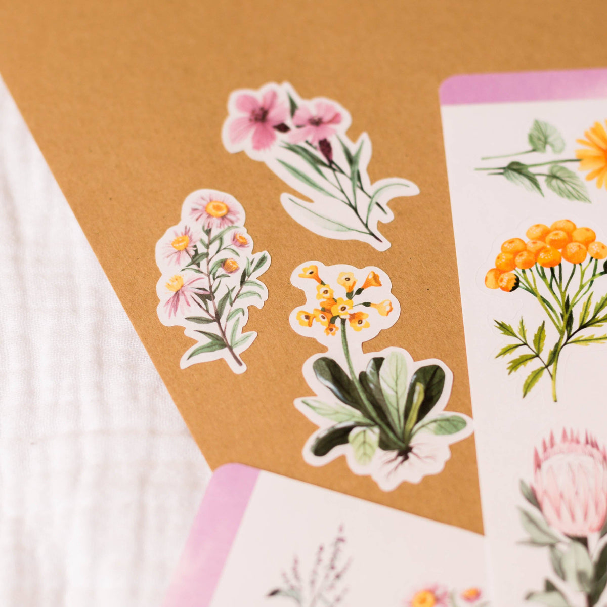 Flowers II Sticker Sheet | Wild Pencil Studio