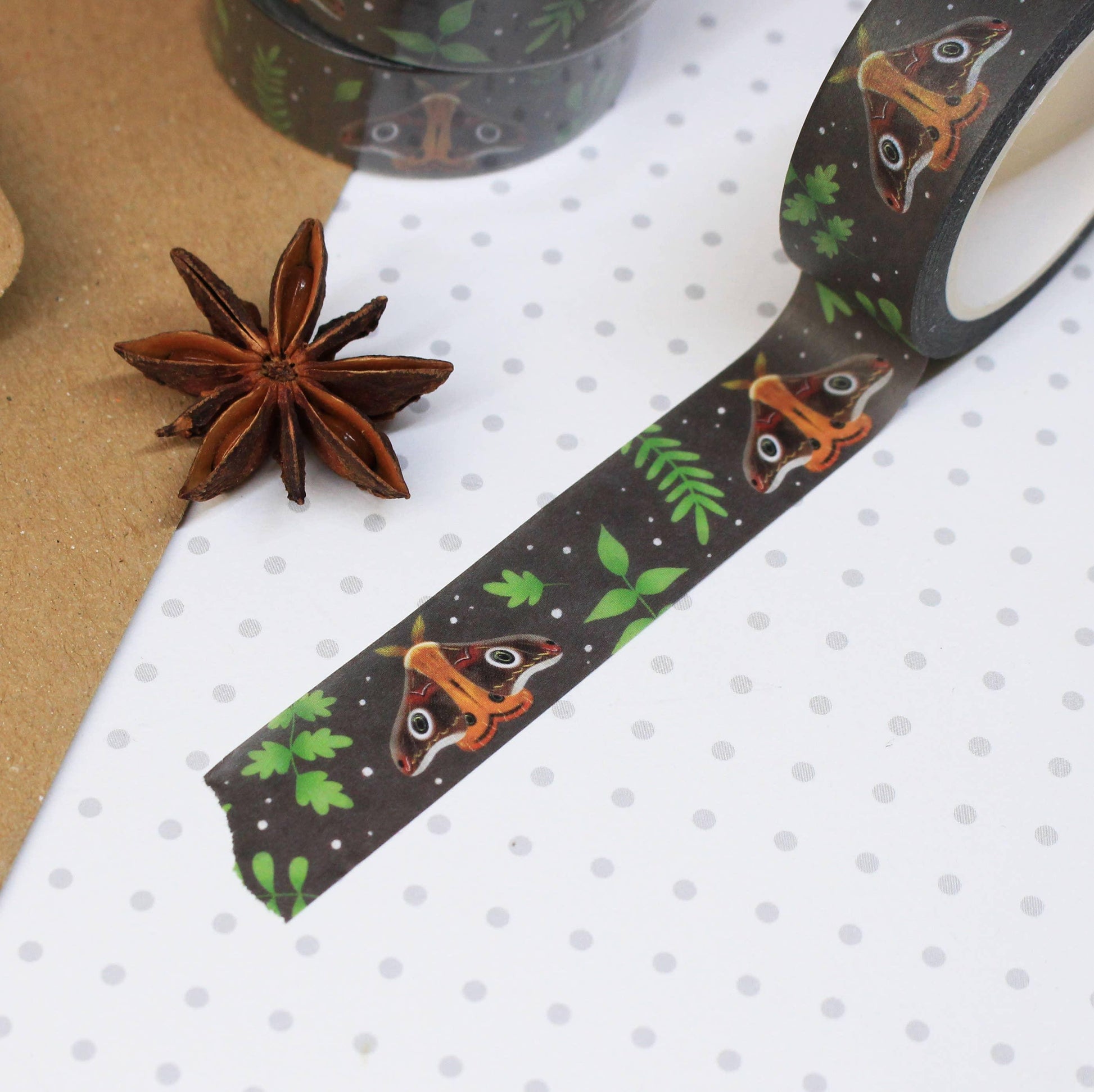 Moth Washi Tape | Ellis Woolley Illustration - Papertail Fox