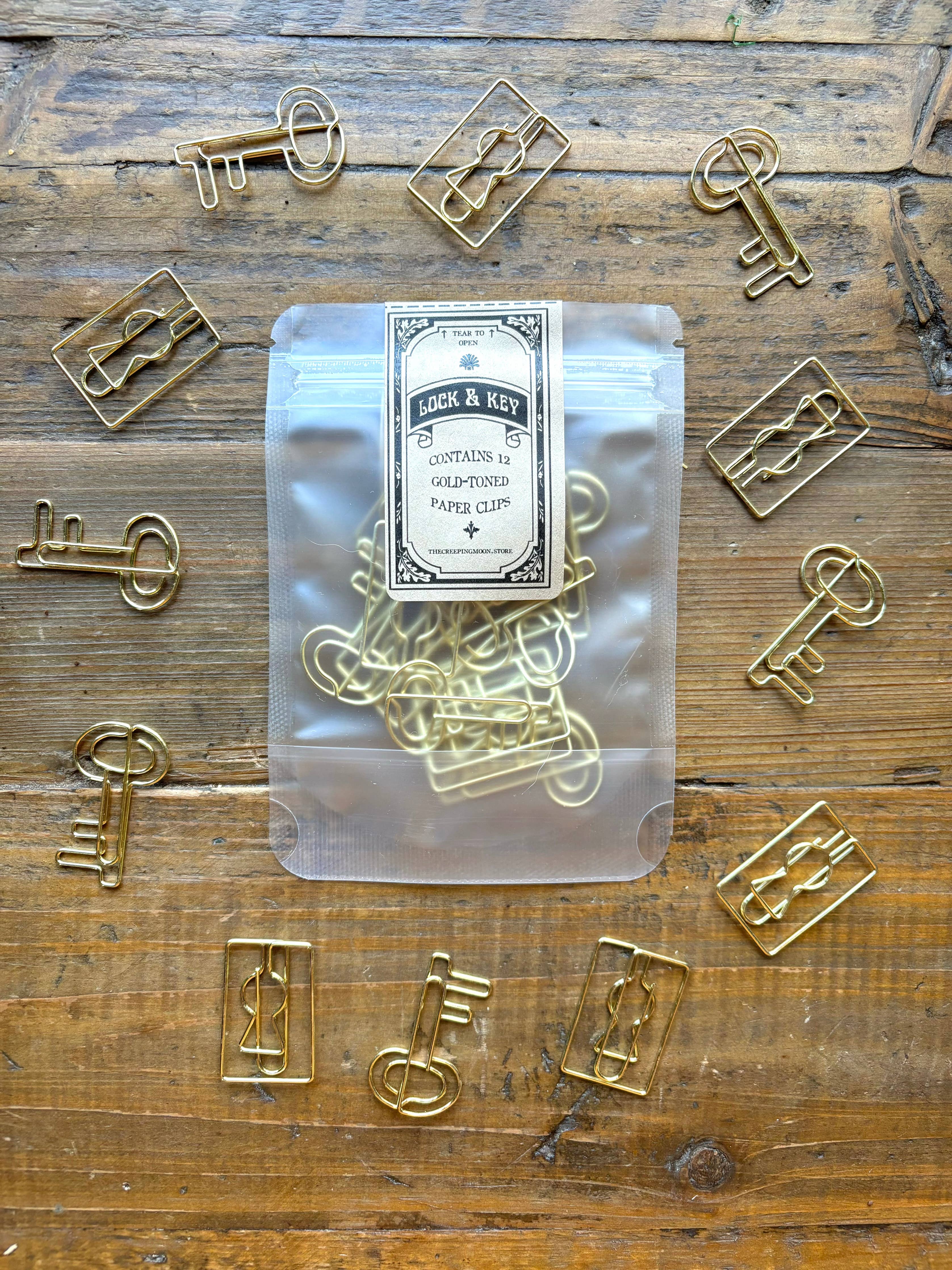Lock and Key Paper Clip Set | The Creeping Moon