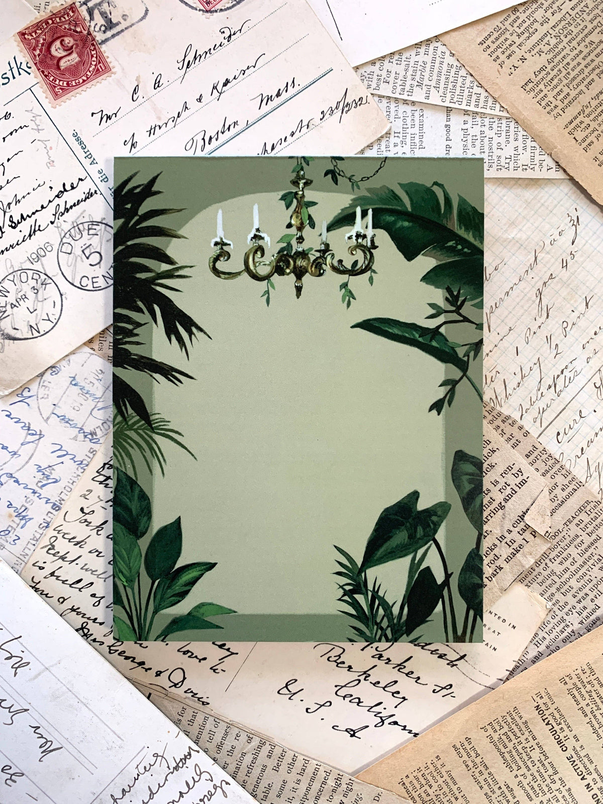 The Conservatory Notepad by The Creeping Moon | Papertail Fox