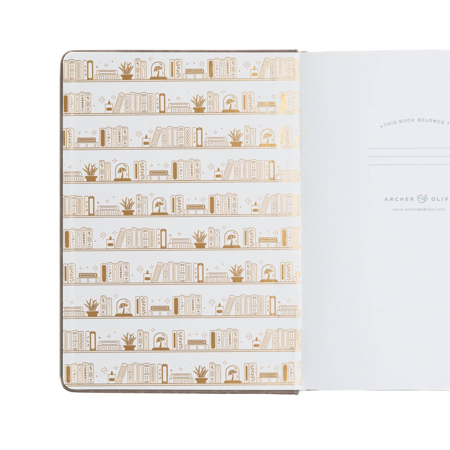 B6 Dot Grid: Bookshelf Notebook