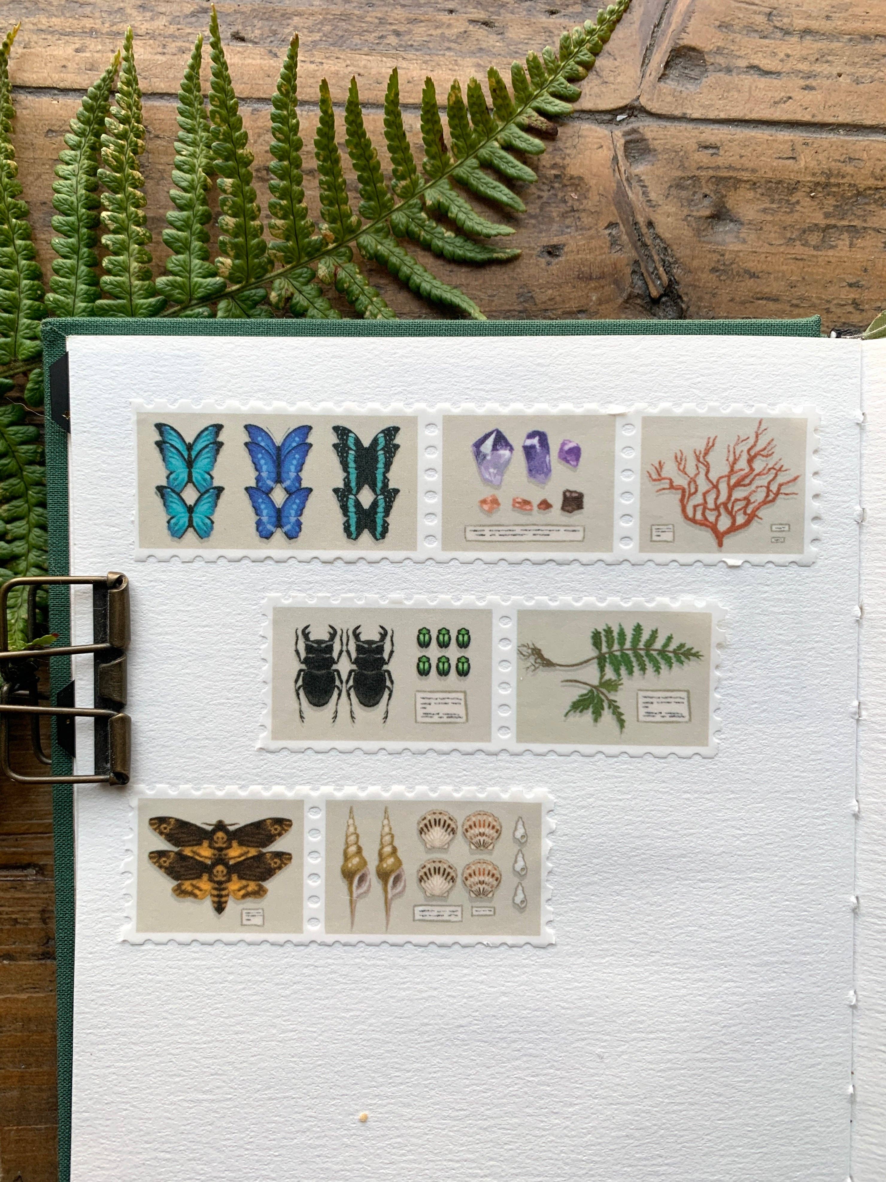 Specimen Drawer Stamp Washi Tape | The Creeping Moon