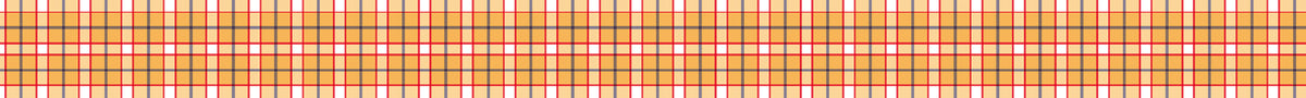 Large Gingham Check Orange Washi Tape | MT Tapes