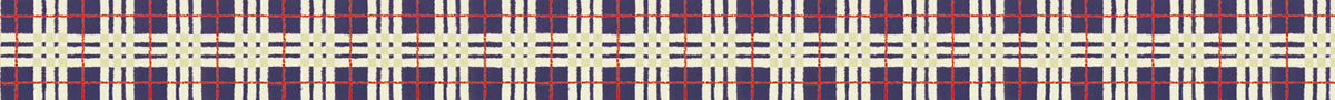 Hand-Drawn Tartan Check Navy Washi Tape | MT Tapes