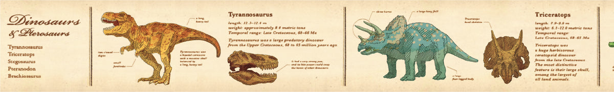 Dinosaur Encyclopedia Washi Tape | MT Tapes