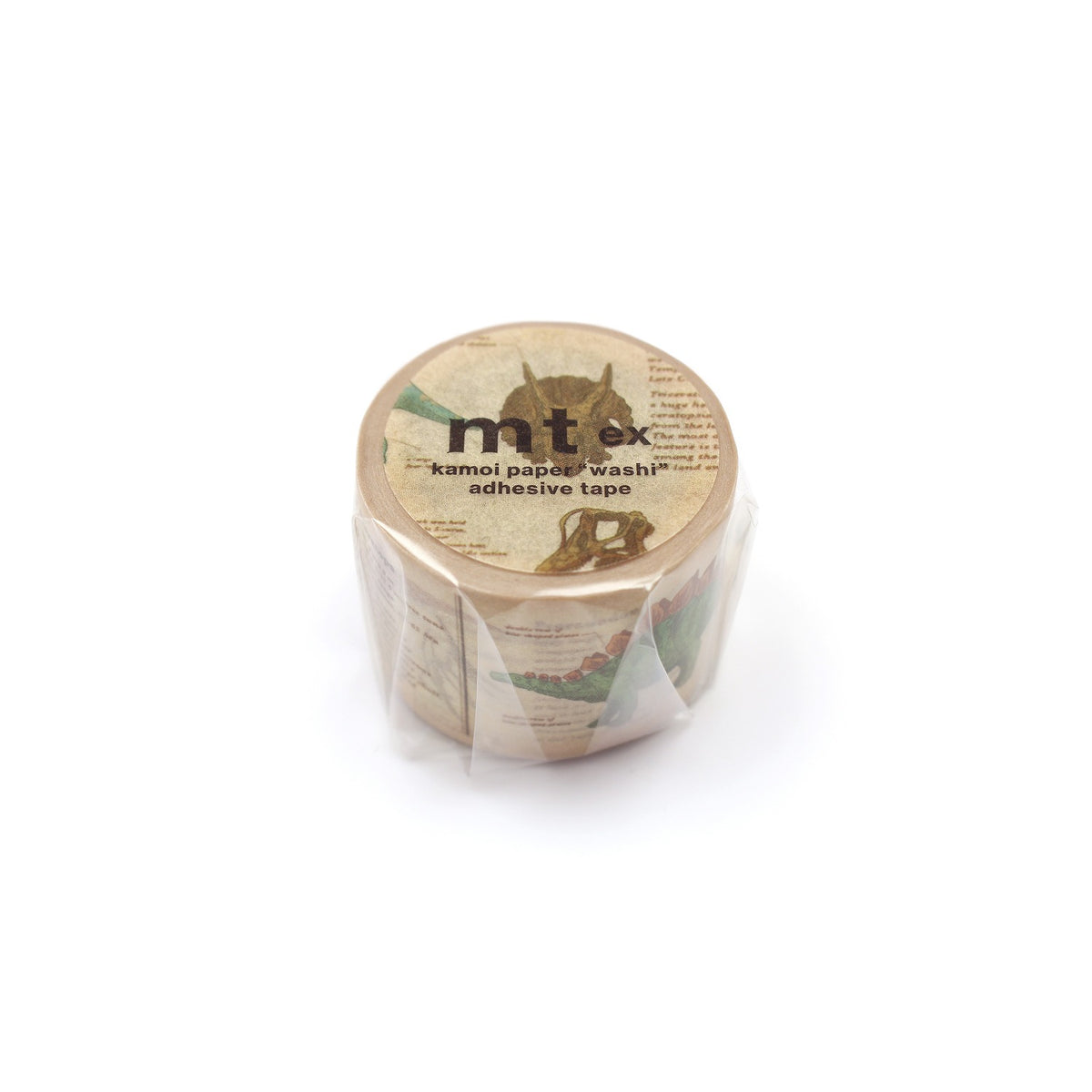 Dinosaur Encyclopedia Washi Tape | MT Tapes