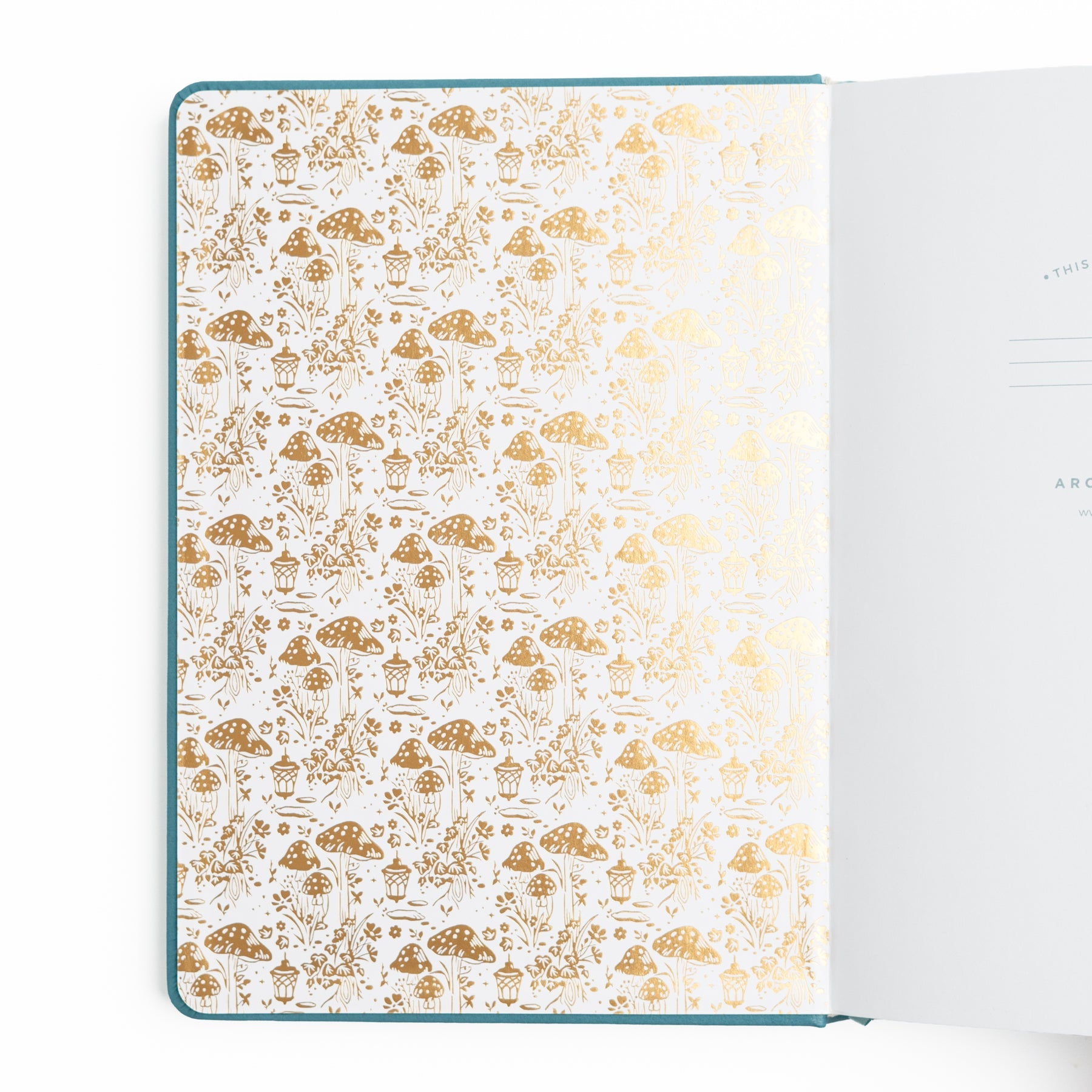 Fairy House A5 Dot Grid Notebook | Archer & Olive