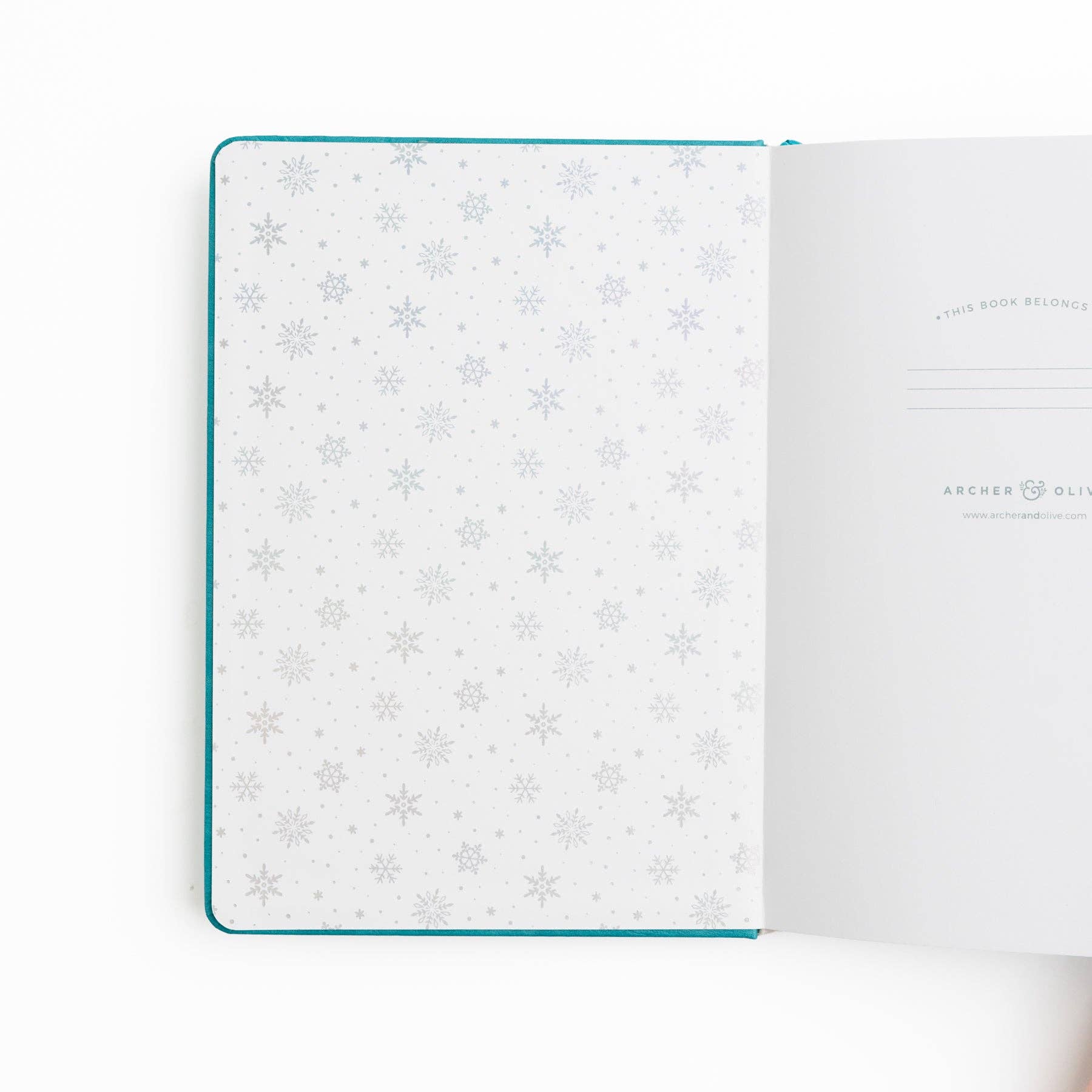 Frosted Storybook Notebook
