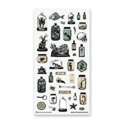 Curious Specimens Sticker Sheet by Stickii | Papertail Fox
