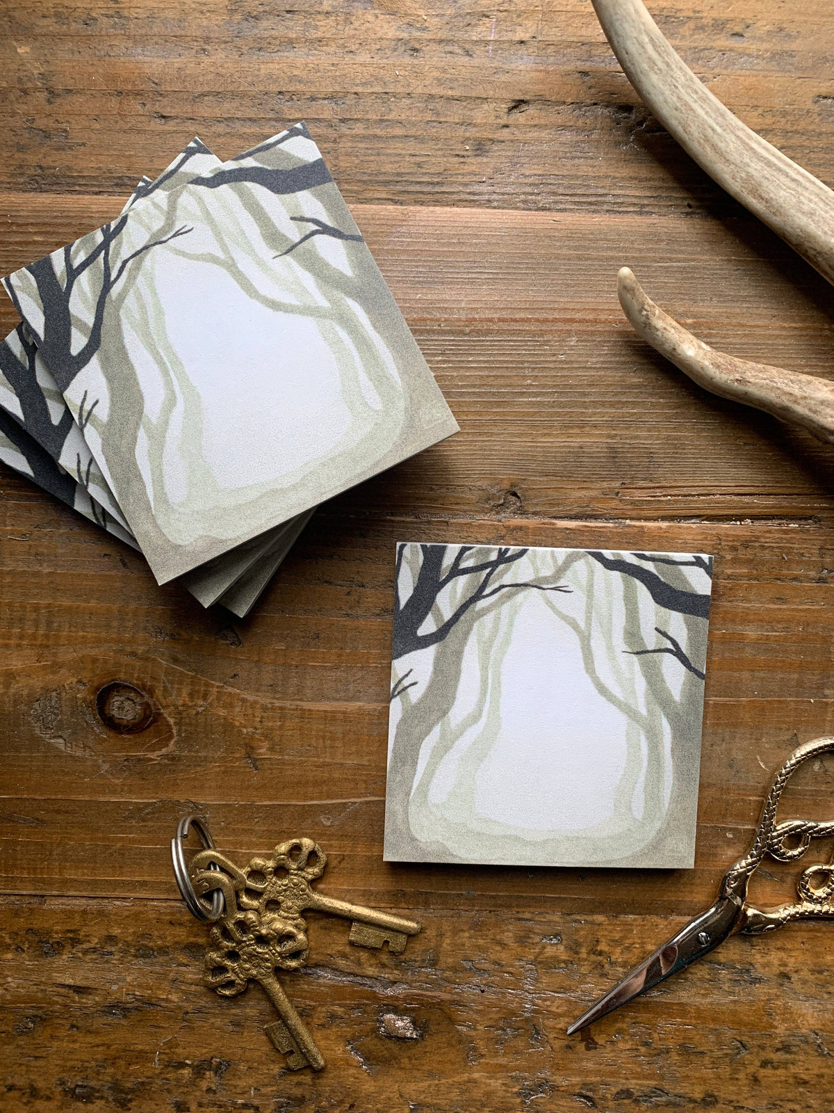 Dark Forest Sticky Notes by The Creeping Moon | Papertail Fox