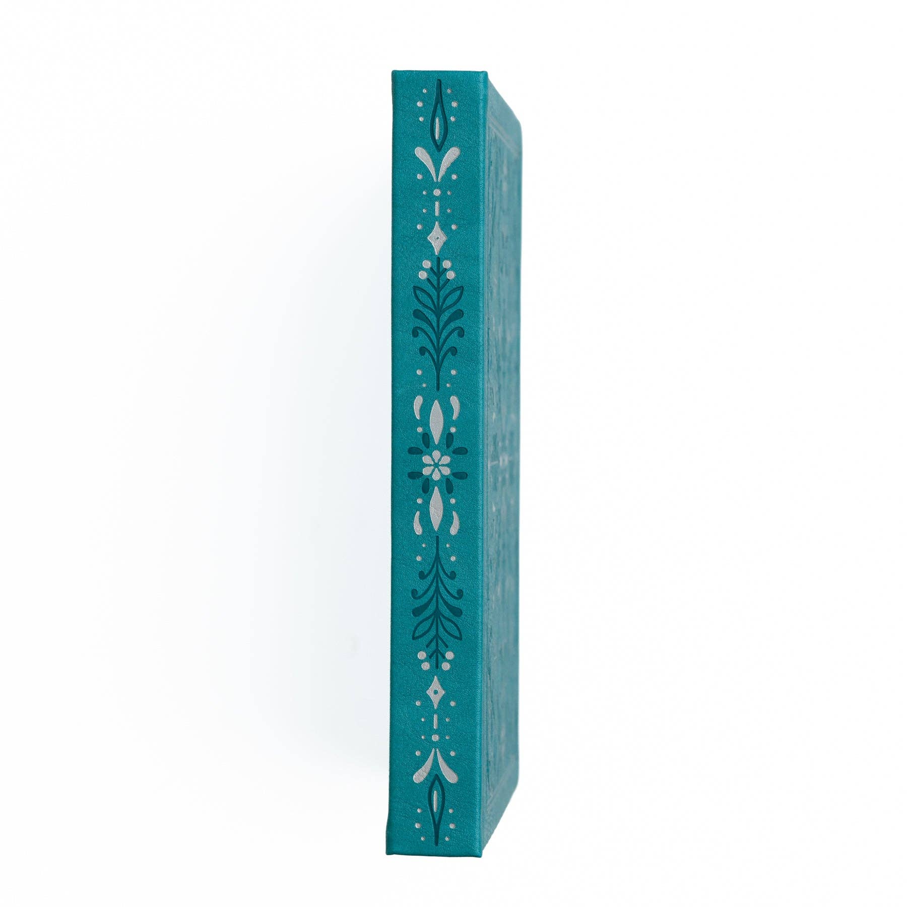 Frosted Storybook Notebook