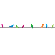 PLUS Deco Rush Tape in Birds on a Wire design showing colorful birds perched on a line