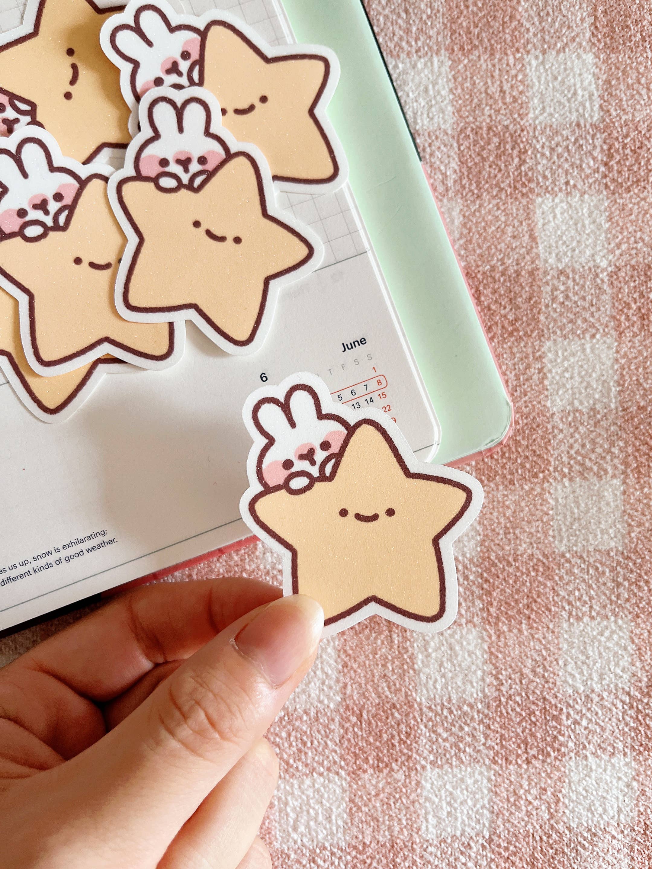 Star Rabbit Sticker