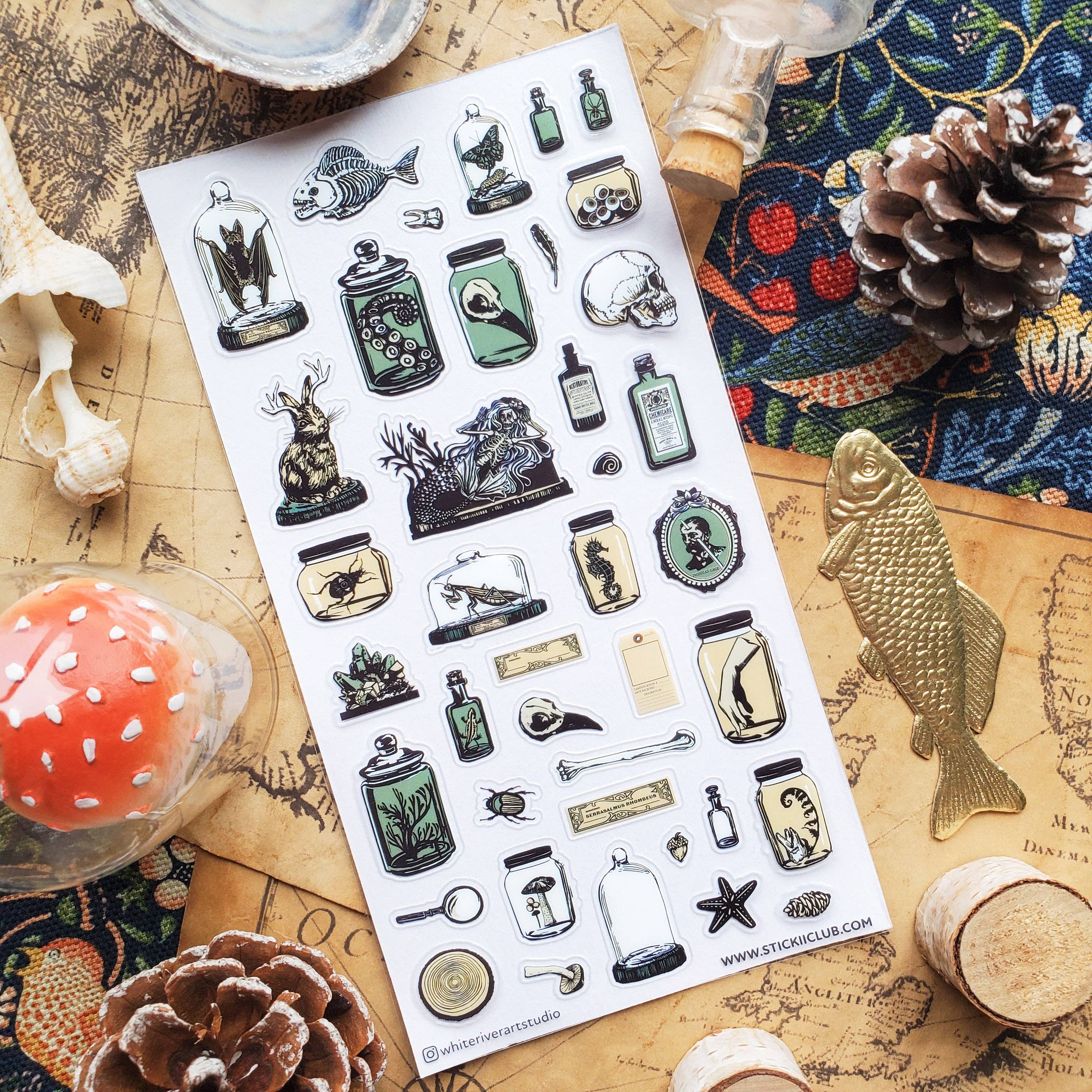 Curious Specimens Sticker Sheet | Stickii