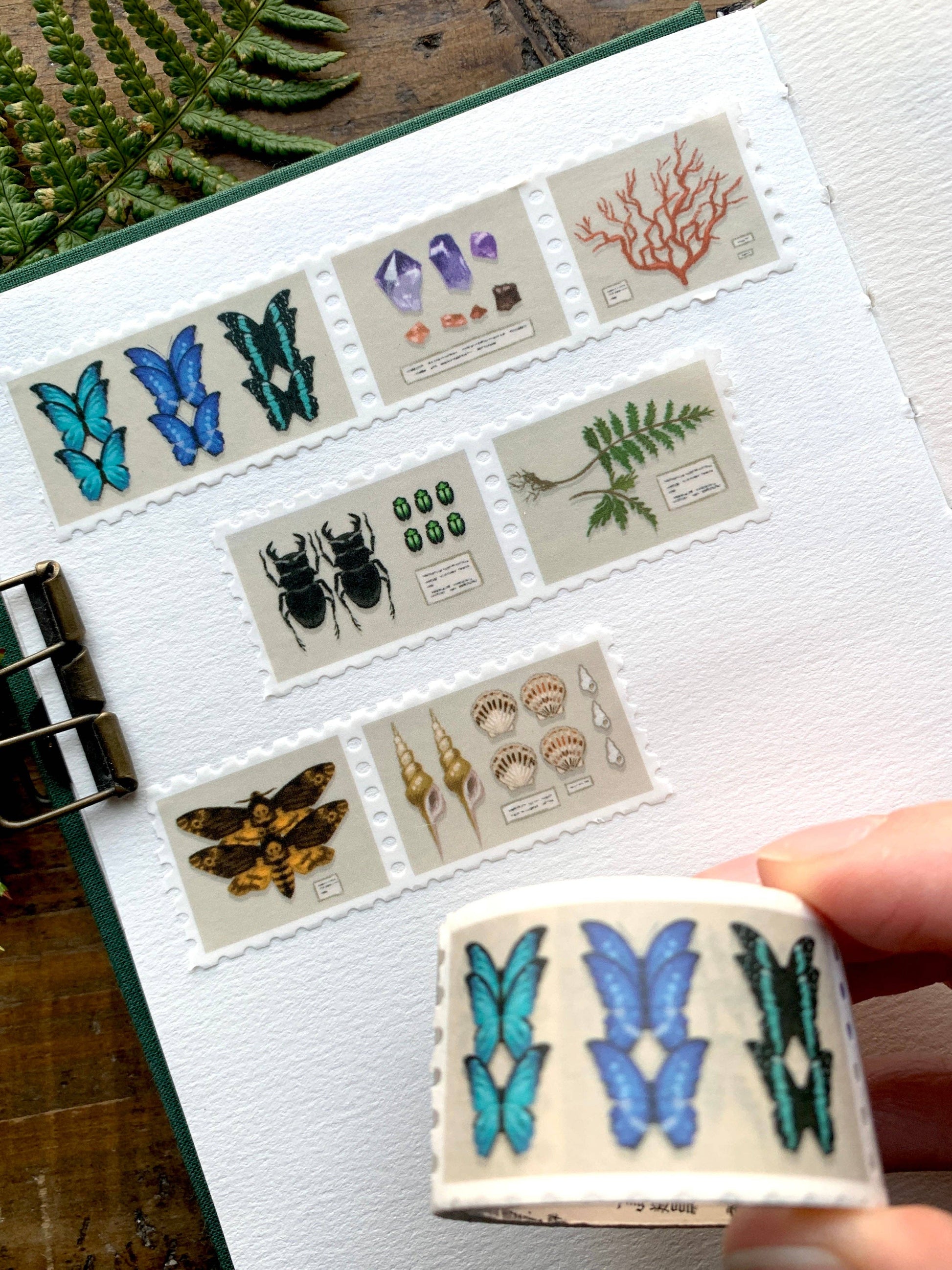 Specimen Drawer Stamp Washi Tape by The Creeping Moon | Papertail Fox