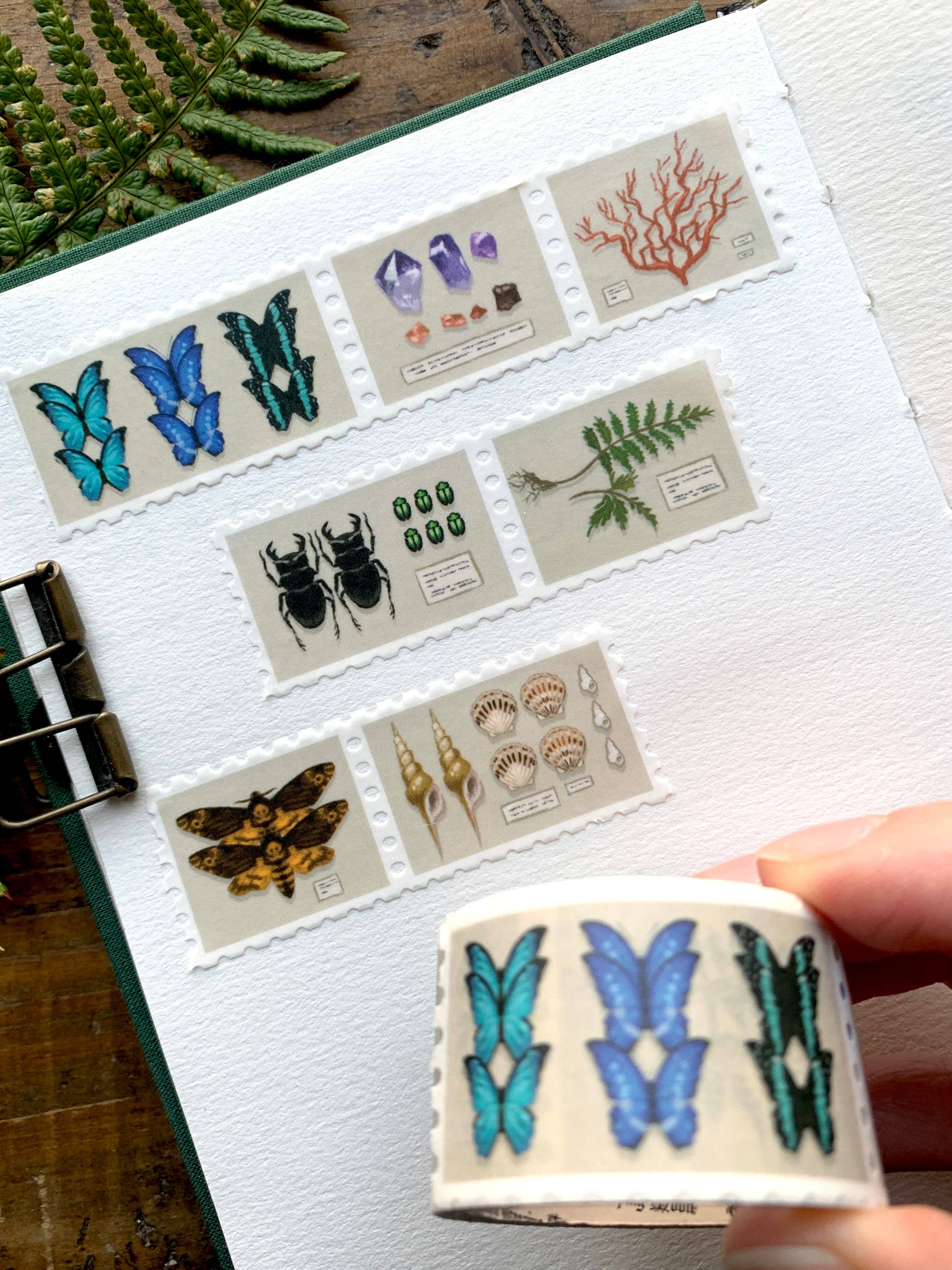 Specimen Drawer Stamp Washi Tape by The Creeping Moon | Papertail Fox