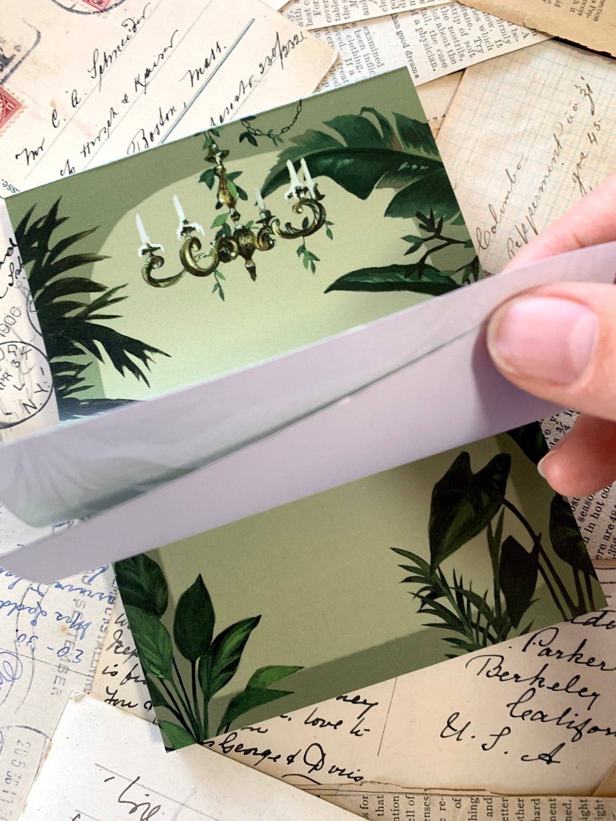 The Conservatory Notepad by The Creeping Moon | Papertail Fox