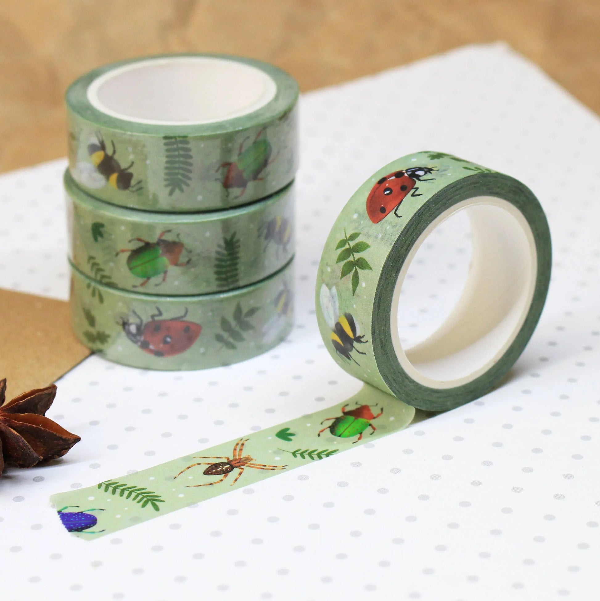 Insects Washi Tape | Ellis Woolley Illustration - Papertail Fox