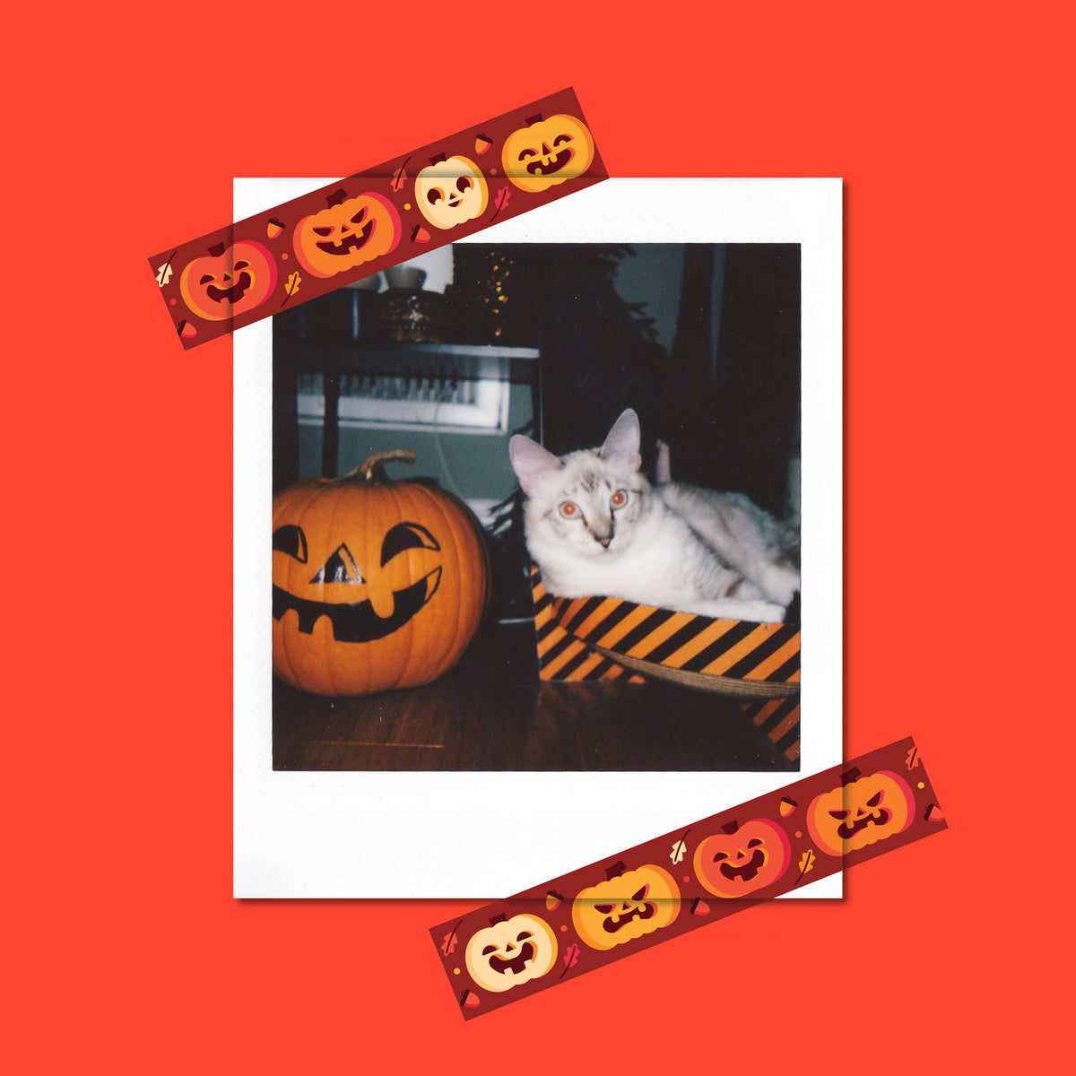 Spunky Pumpkins Washi Tape | New Heights Studio