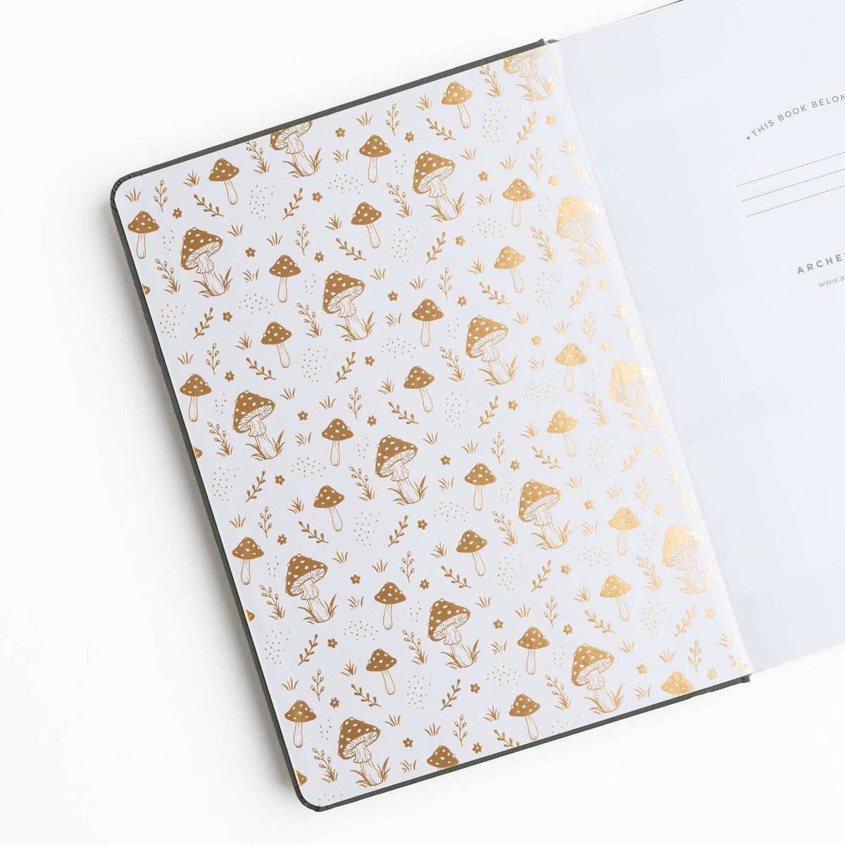 Wholesale Limited Edition SQ: Mushrooms