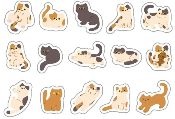 All Cats Mini Kit | World Craft